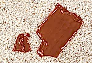 Chocolate from carpet removal