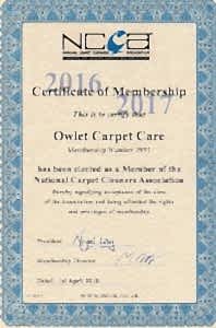 Owlet Carpet Care NCCA 2016