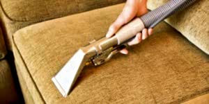 owlet carpet care upholstery cleaning