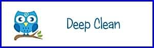 carpet clean deep clean owlet carpet care