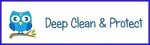 carpet and upholstery cleaning owlet carpet care clean and protect